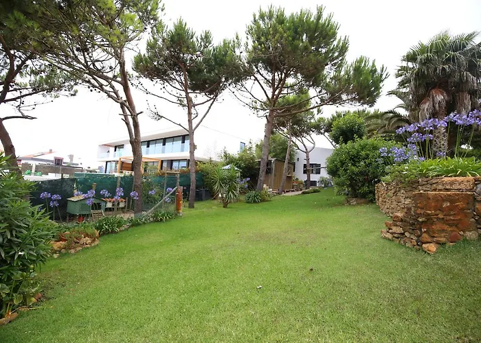 Akivillas Star エリセイラ