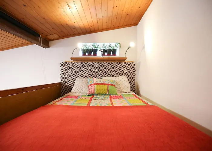 Akivillas Star * エリセイラ