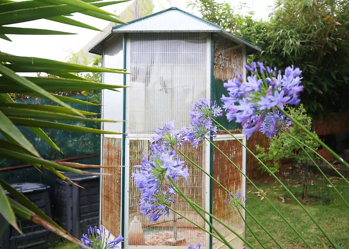 アパート Akivillas Star